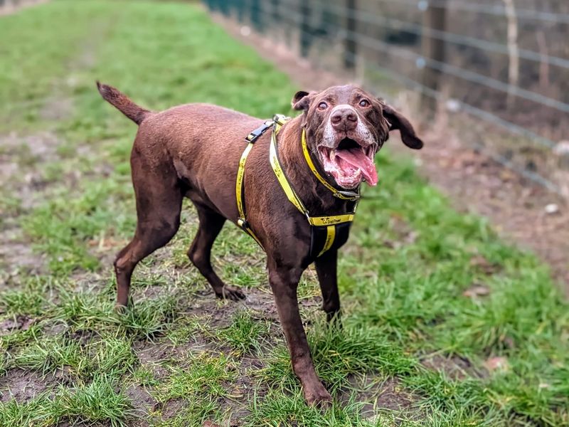 Duncan - Image 3 of 4