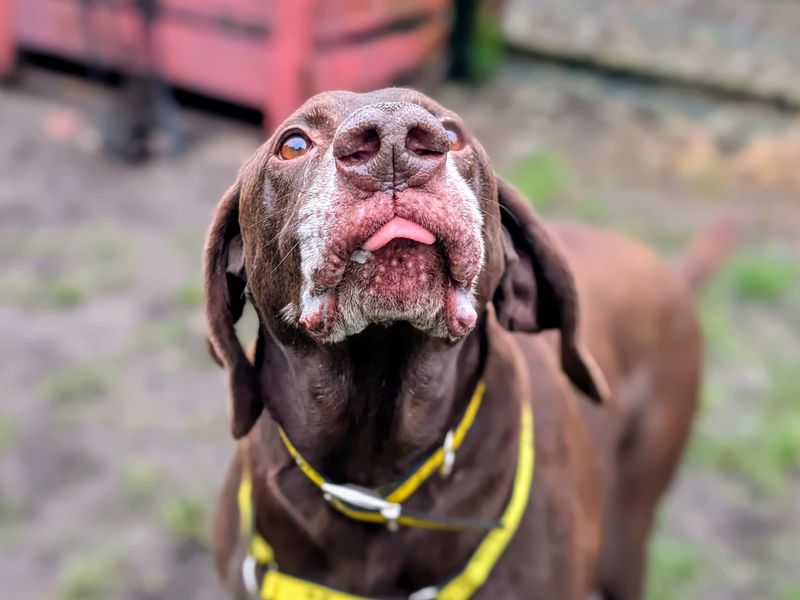 Duncan - Image 4 of 4