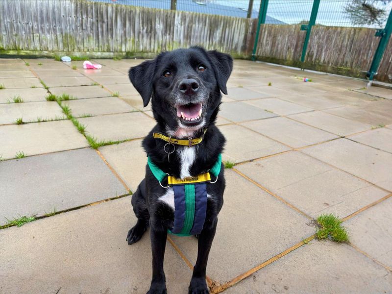 Chelsea - Image 8 of 9