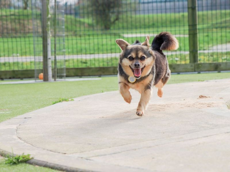 Tinkerbelle - Image 3 of 4