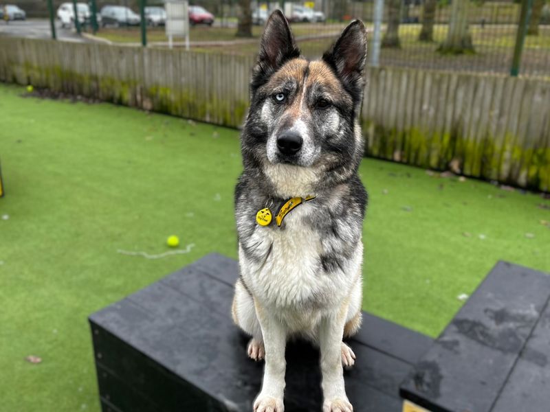 Lottie - Image 3 of 3