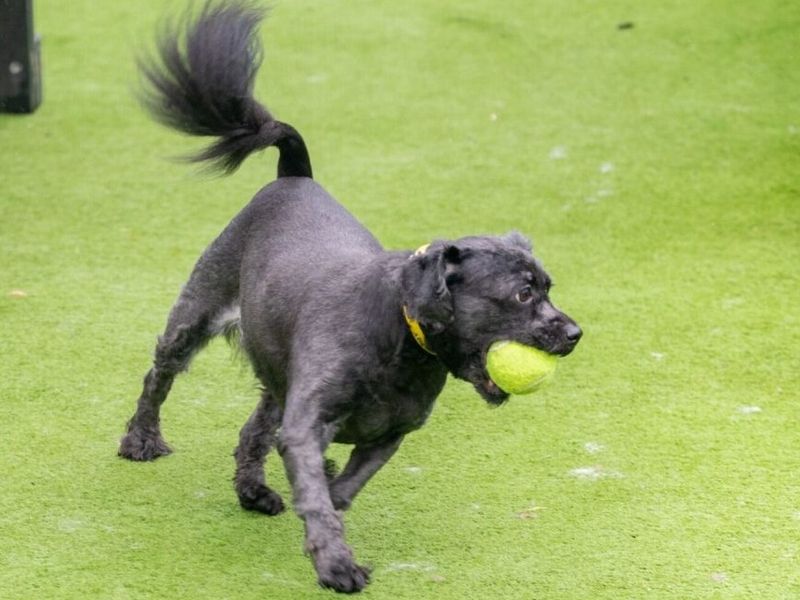 Bundle - Image 6 of 6