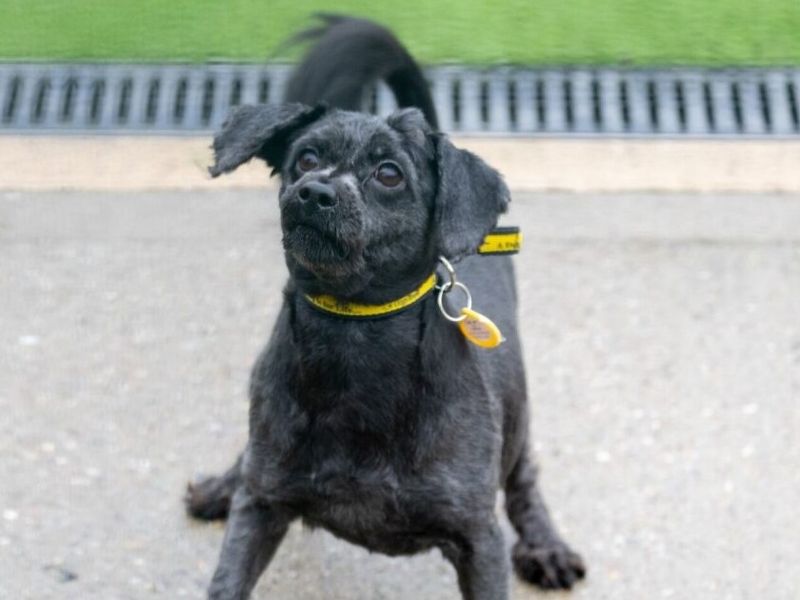 Bundle - Image 4 of 6