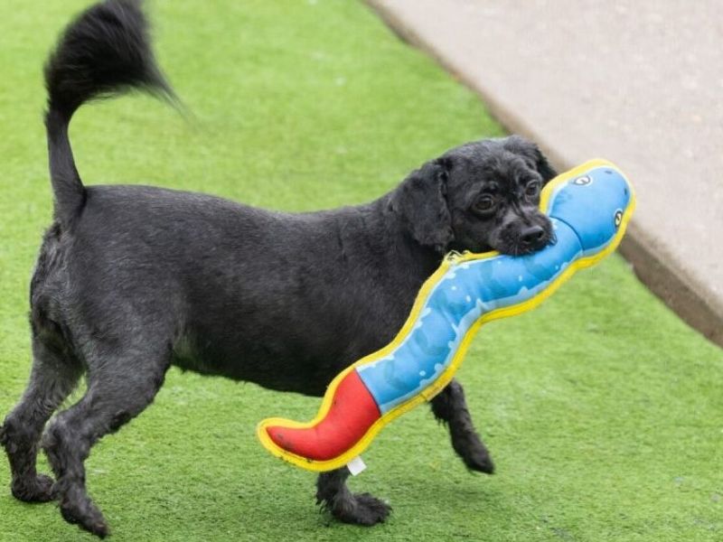 Bundle - Image 5 of 6