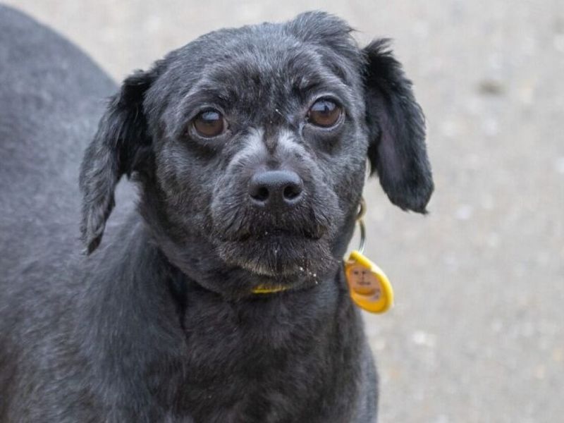 Bundle - Image 2 of 6