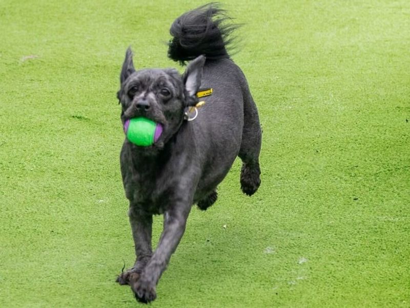 Bundle - Image 3 of 6