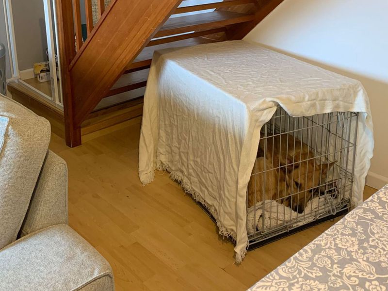 Trigger - Image 3 of 5