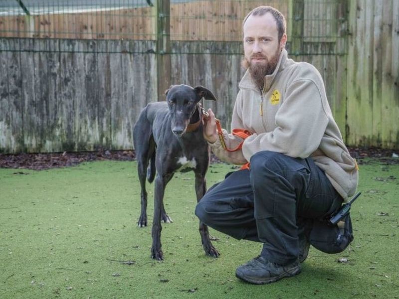 Sardine - Image 2 of 4