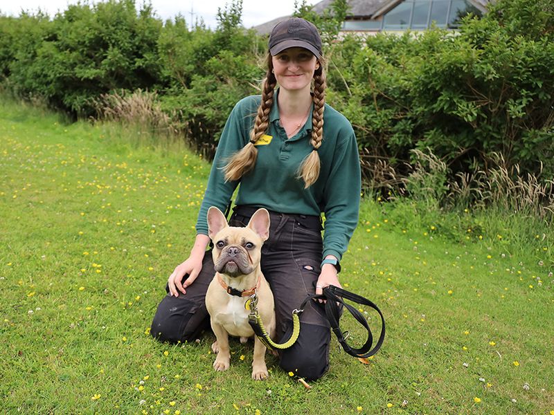 Frank - Image 2 of 2