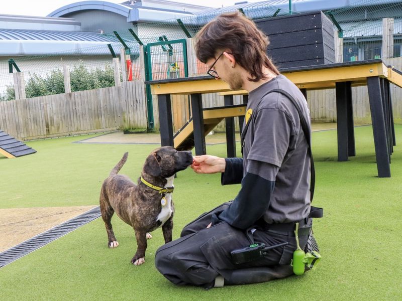 Polly - Image 3 of 5