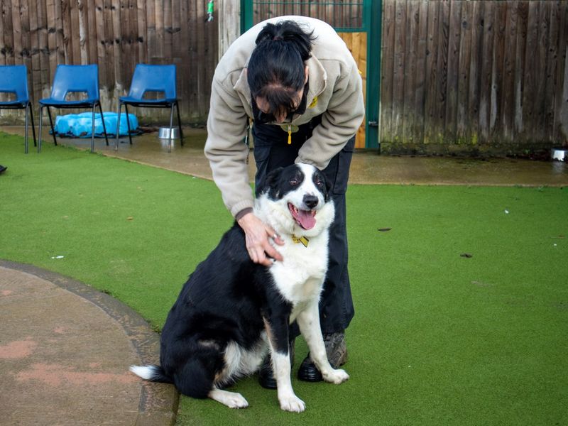 Sneaker - Image 4 of 8