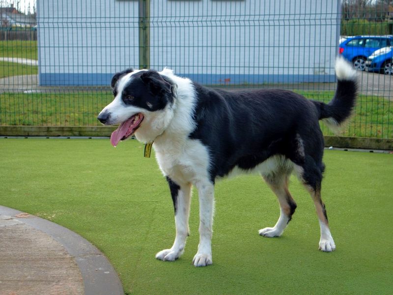 Sneaker - Image 2 of 8