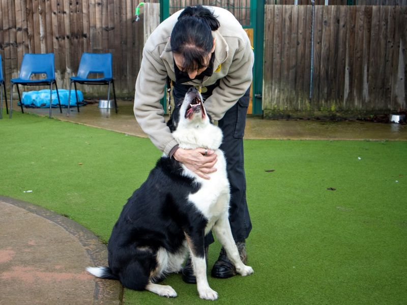 Sneaker - Image 3 of 8