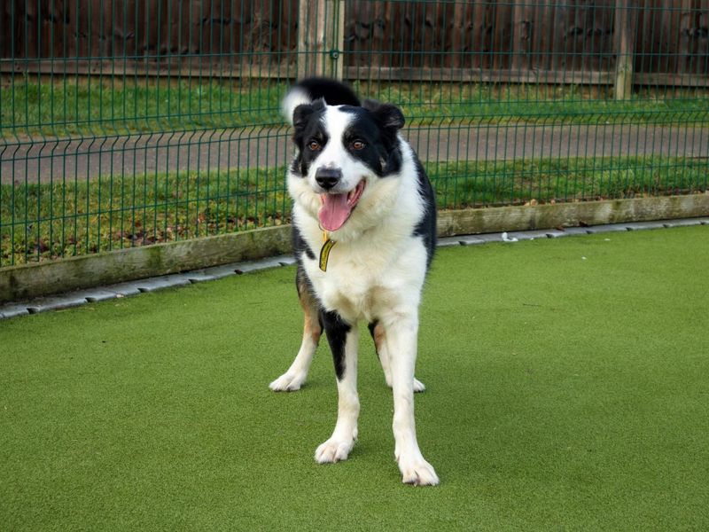 Sneaker - Image 6 of 8