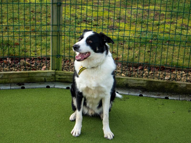 Sneaker - Image 5 of 8