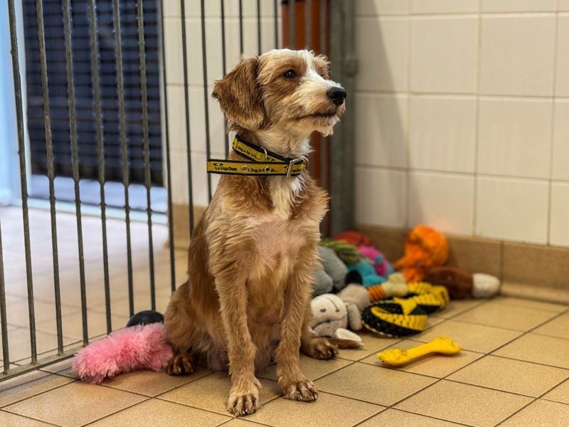 Mama Yam - Image 2 of 5