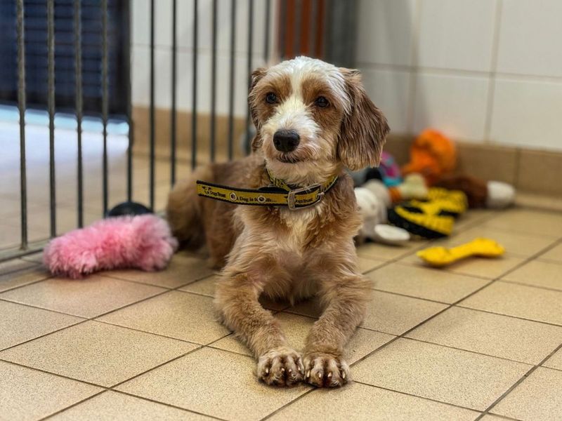 Mama Yam - Image 4 of 5