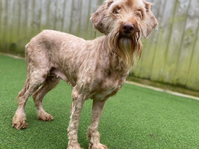 August - Image 4 of 4