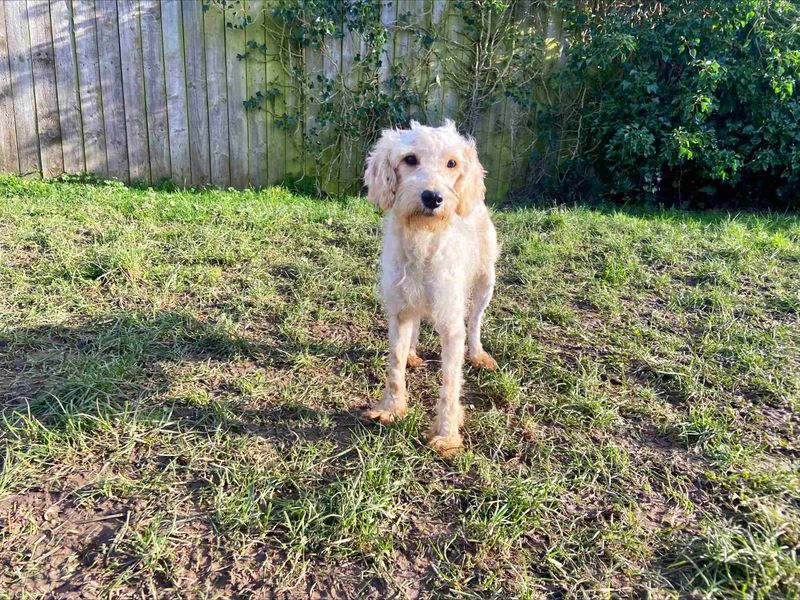 Summer - Image 2 of 4