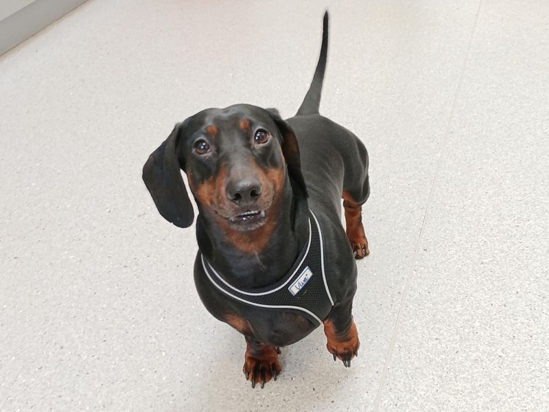 Spencer - Image 2 of 2