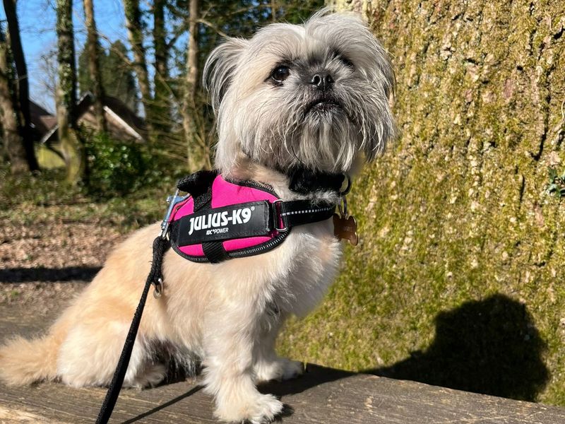 Margot - Image 2 of 5