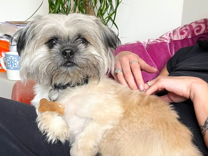 Margot - Image 4 of 5