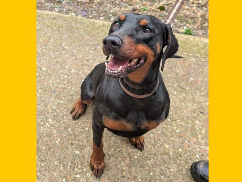 Storm - Image 2 of 2