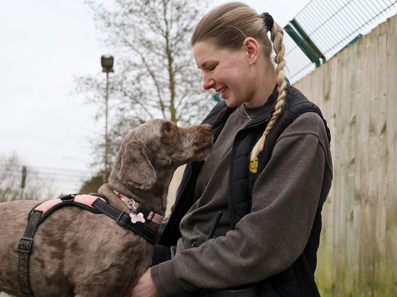 Nellie - Image 2 of 3