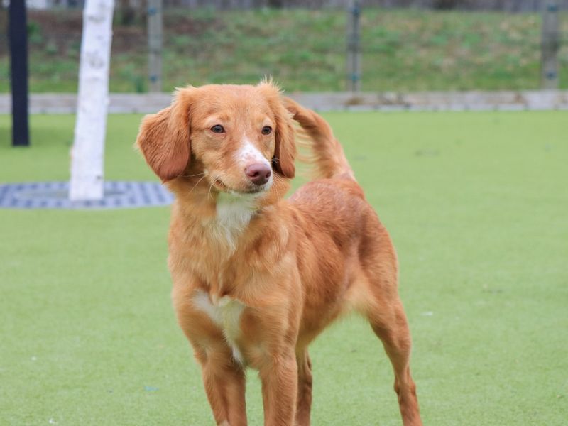 Espresso - Image 2 of 5