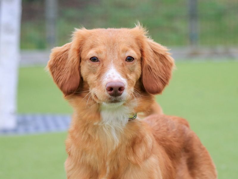 Espresso - Image 4 of 5