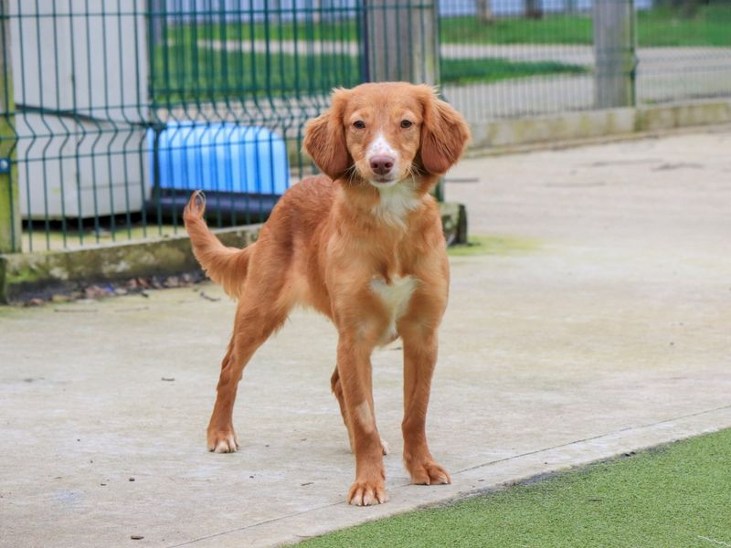 Espresso - Image 3 of 5