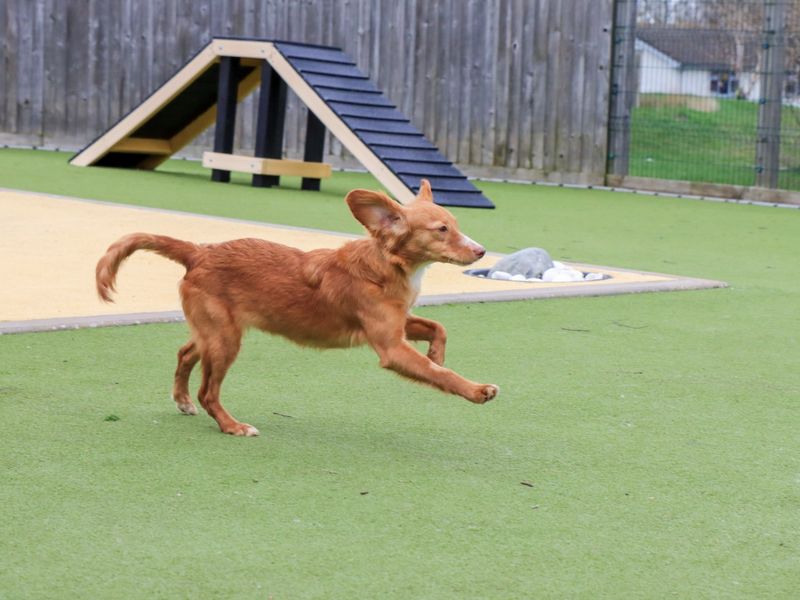 Espresso - Image 5 of 5