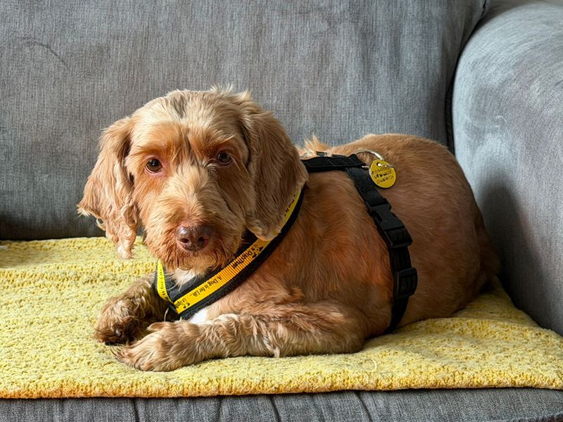 Betty - Image 3 of 3