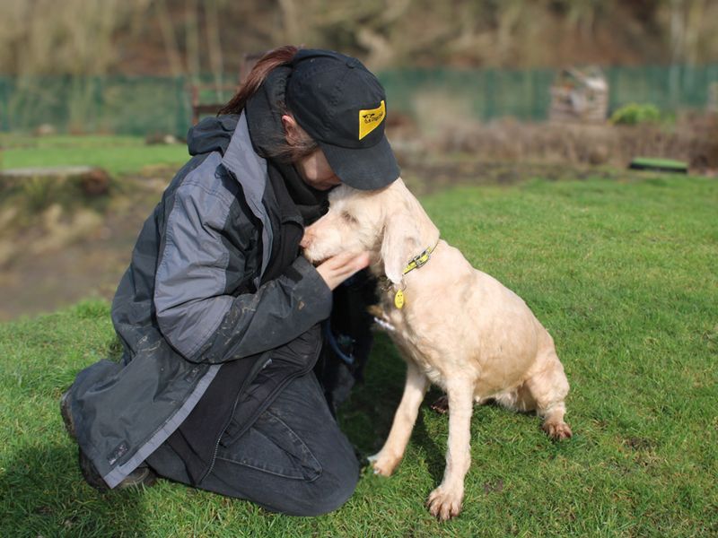 Susie - Image 3 of 3