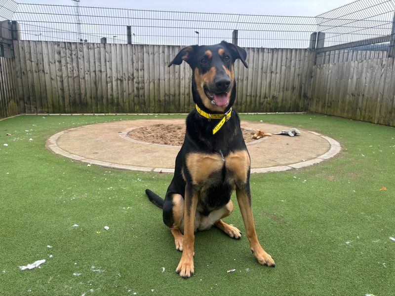 Betty - Image 4 of 4