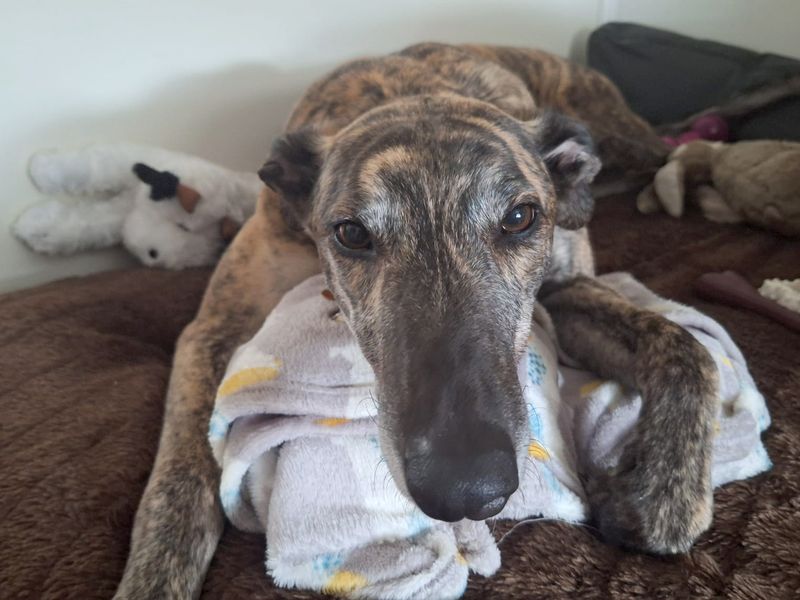 Billy - Image 2 of 2