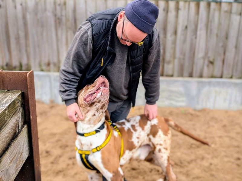 Champ - Image 2 of 6