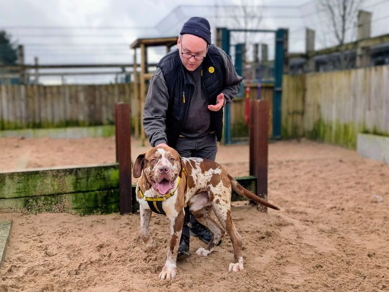 Champ - Image 6 of 6