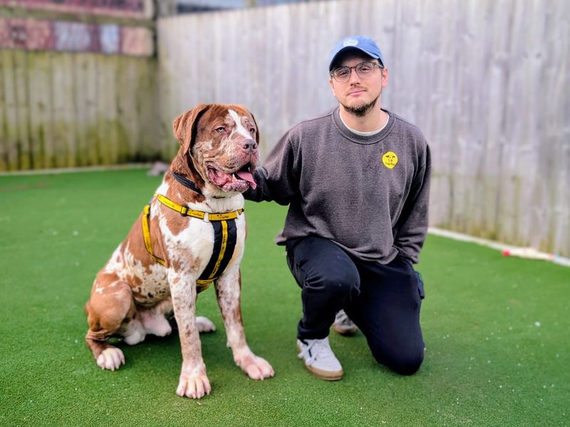 Champ - Image 3 of 7