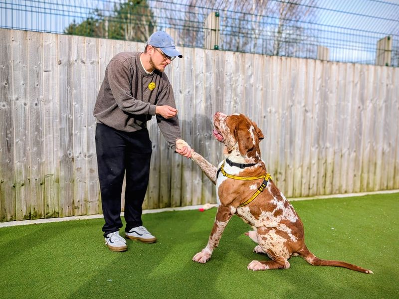 Champ - Image 7 of 7