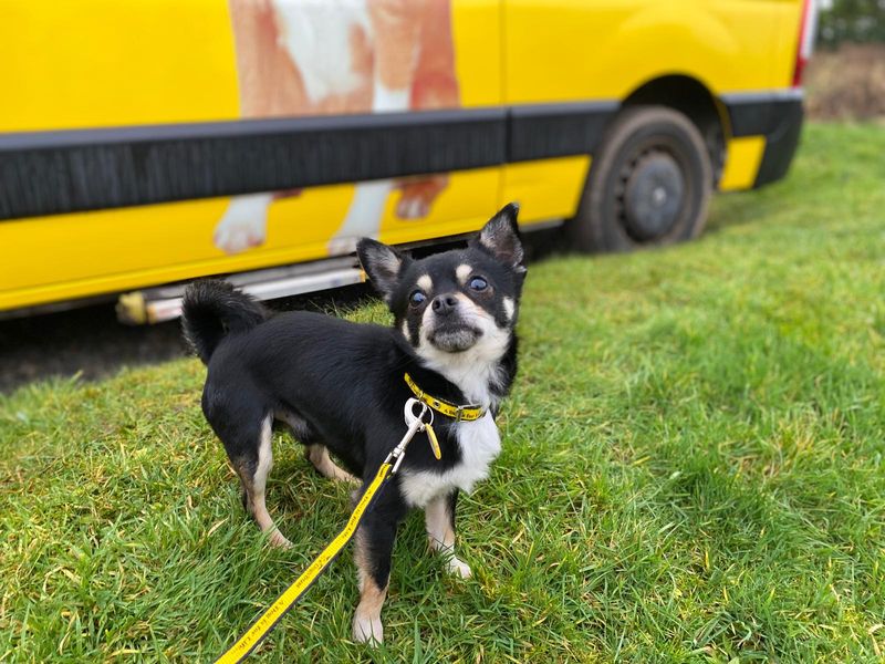 Guinness - Image 2 of 2