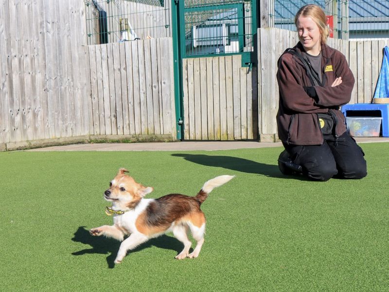 Grape - Image 3 of 3