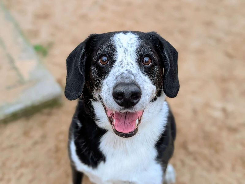 Jackson - Image 3 of 7