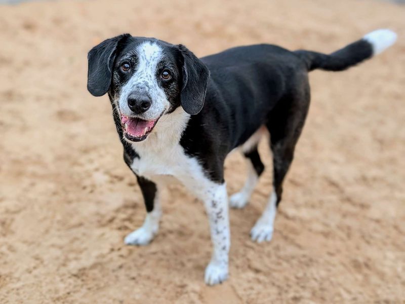 Jackson - Image 4 of 7