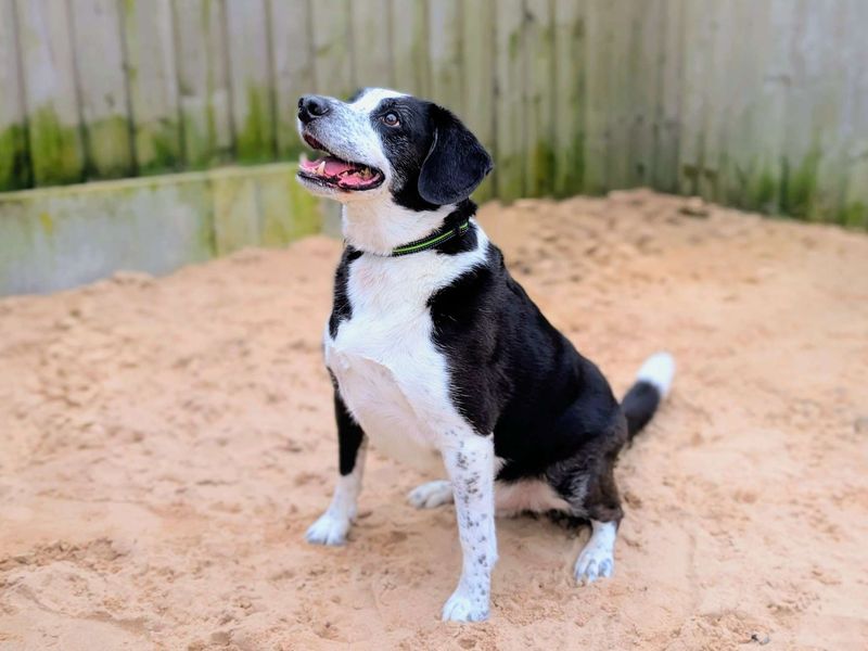 Jackson - Image 6 of 7