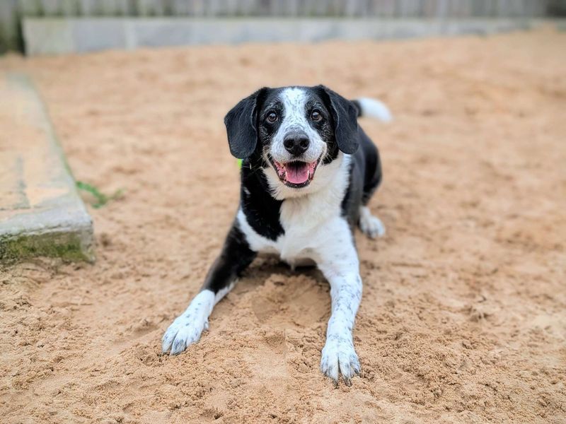 Jackson - Image 2 of 7