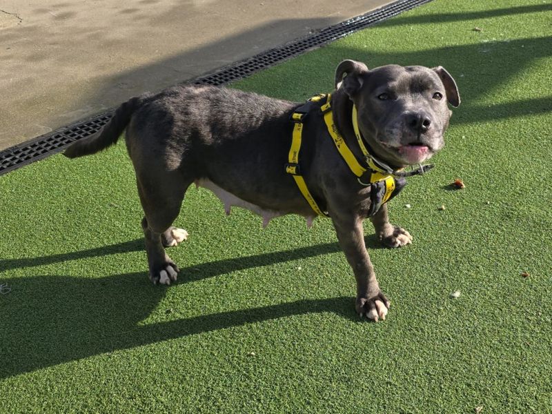 Agnes - Image 2 of 4