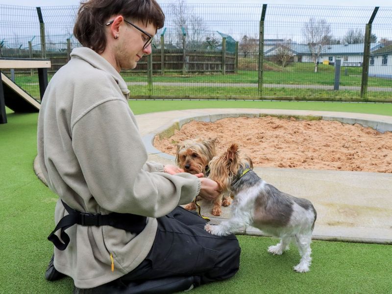 Connie and Flossy - Image 3 of 4