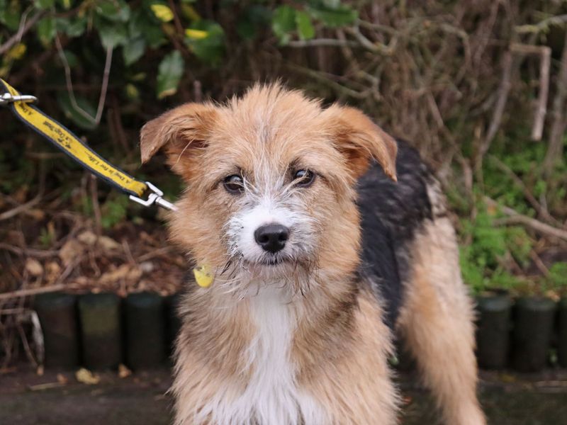 Charity - Image 2 of 2