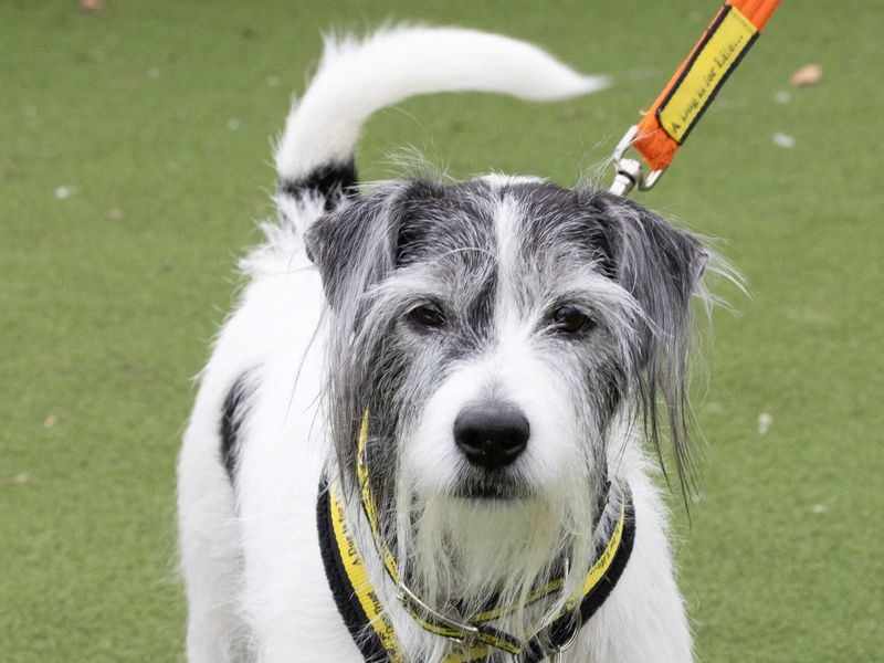 Crystal - Image 2 of 2